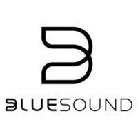 Bluesound Klub