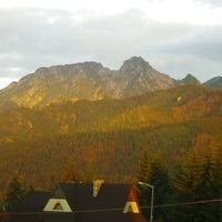 DarekWeb