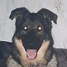 rzviro