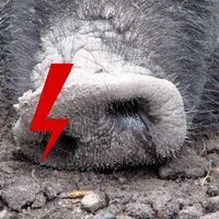 concrete_cap